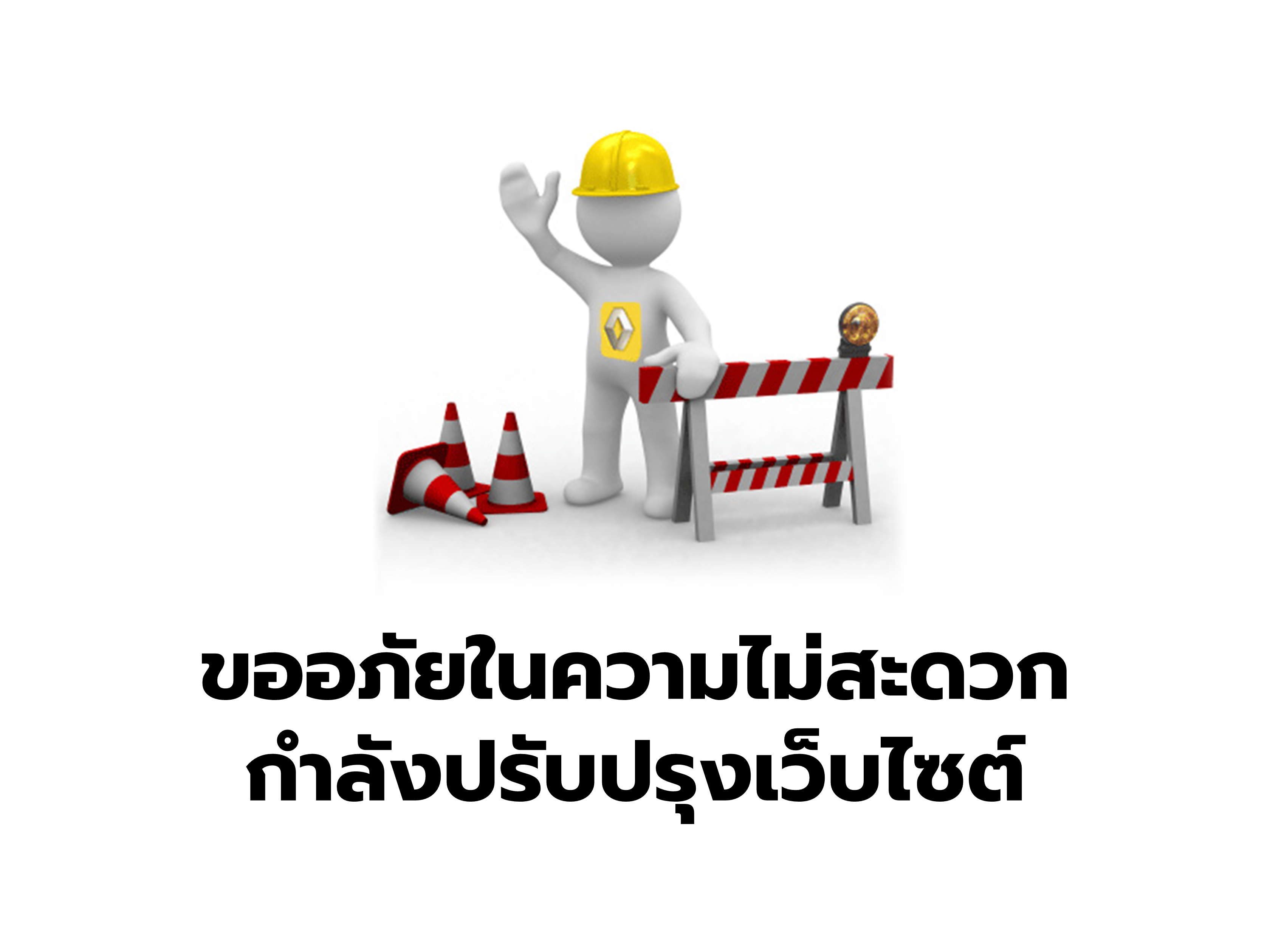 ผู้ตรวจสอบกิจการ